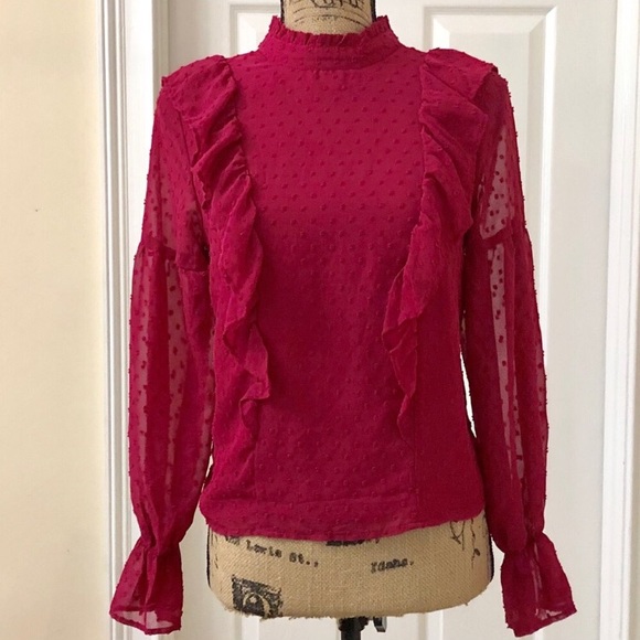 bleuh ciel Tops - bleuh ciel | Sheer Ruffle High Neck Blouse 👚